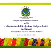 APIB: un líder en las agro exportaciones en Guatemala.